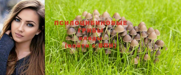 гашишное масло Алексеевка