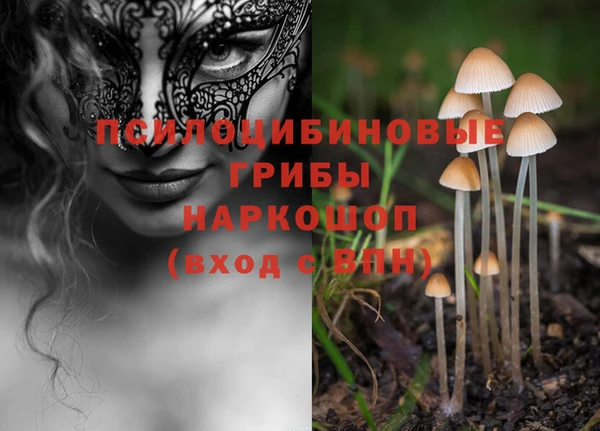 каннабис Алзамай