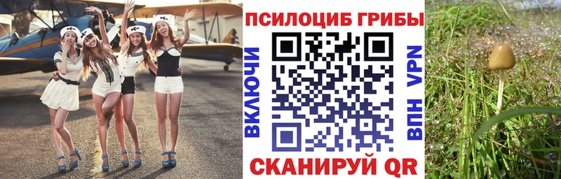 Галлюциногенные грибы MAGIC MUSHROOMS  купить закладку  Пермь 